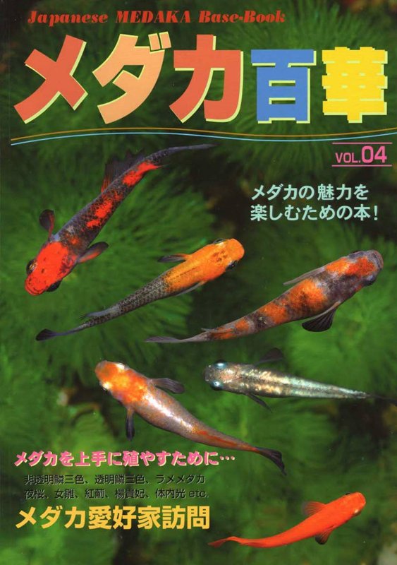 画像1: メダカ百華 Vol.4 (1)