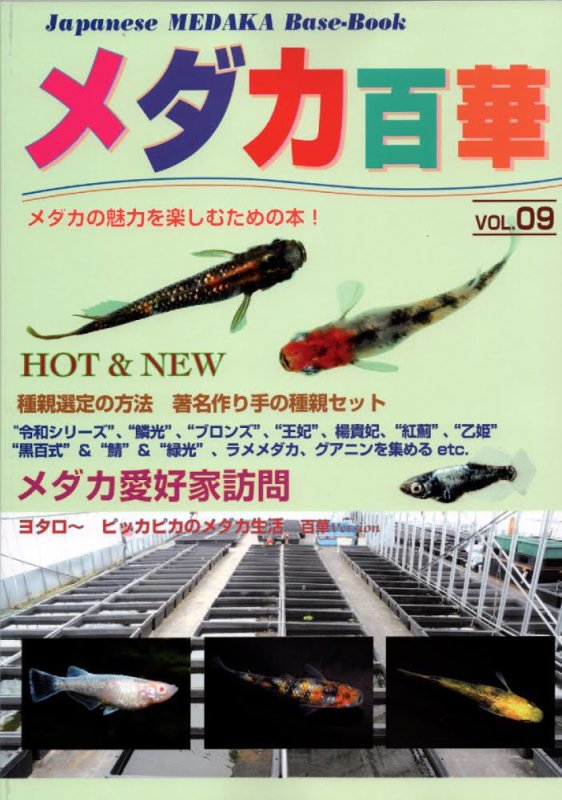 画像1: メダカ百華 Vol.9 (1)