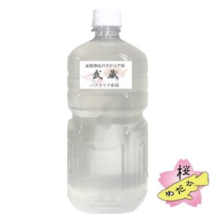バクテリア本舗シリーズ - 桜めだか