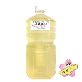 バクテリア本舗シリーズ - 桜めだか