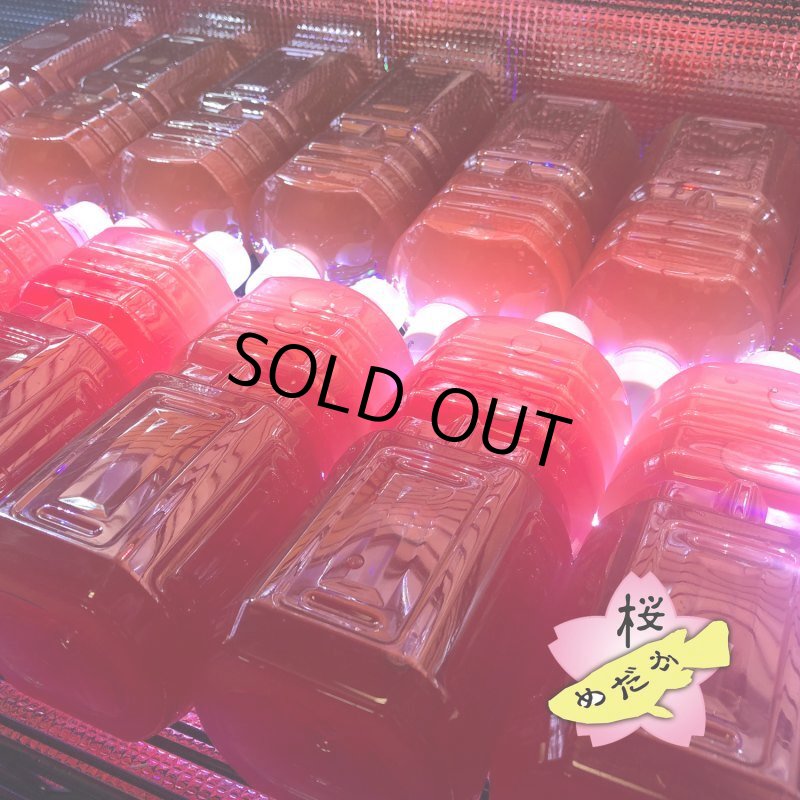 画像4: ふやしてPSB (光合成細菌の培養飼料)   パウダータイプ 100g (4)