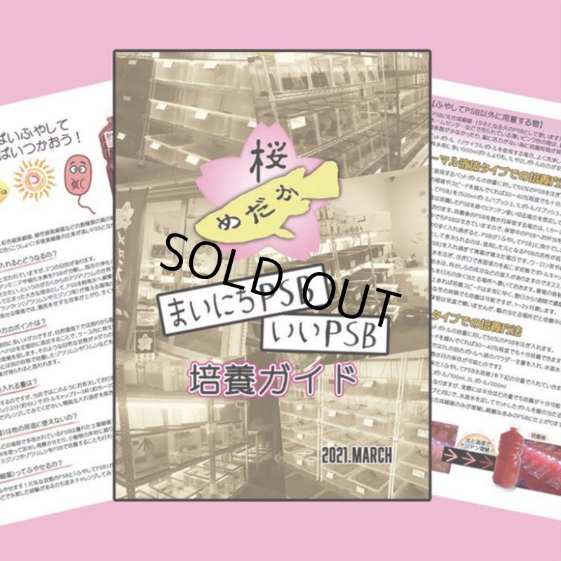 画像5: ふやしてPSB (光合成細菌の培養飼料)   パウダータイプ 100g (5)