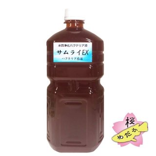 桜めだか 高濃度PSB 18L