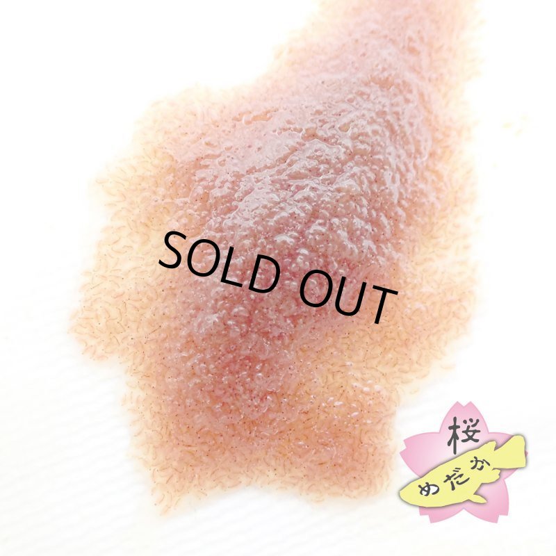 画像4: 生 タマミジンコ （３〜５ｇ）（※在庫状況によってお届けまでお時間頂戴する場合がございます） (4)