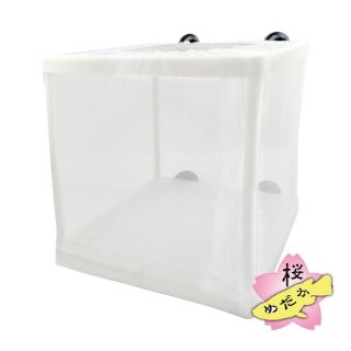 超お得6個セット！！【安永めだか】オリジナル横見ケース 超お得6個セット！！【安永めだか】オリジナル横見ケース