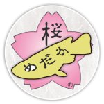 画像7: メダカLIFE 創刊号 / 特典:桜めだかロゴ Newステッカー (7)
