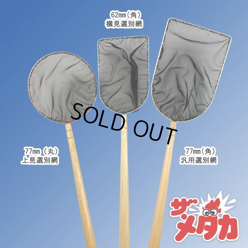 画像6: ザ・メダカ製 62mm角  横見選別網 (6)