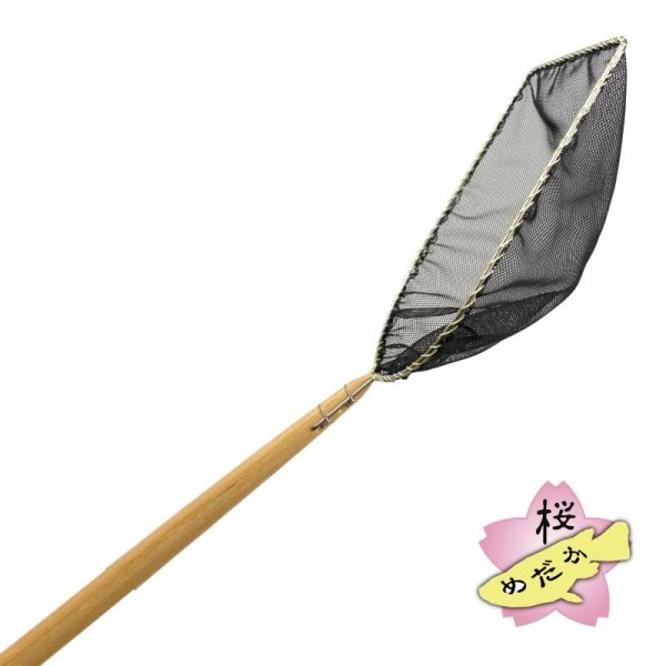 メダカ⭐︎専用 煌part1 メダカ めだか （Sサイズ） 13匹 / メダカ販売 めだか