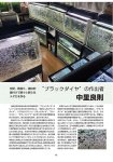 画像8: ブラックダイヤ＆ブラックダイヤ交配系統 Medaka Pro File 別冊Vol.2 (8)