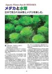 画像10: ブラックダイヤ＆ブラックダイヤ交配系統 Medaka Pro File 別冊Vol.2 (10)
