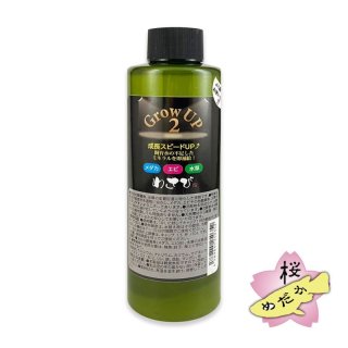 メダカ⭐︎専用 メダカ「夜桜ゴールド」 | めだか湊養魚場