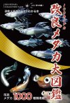 画像1: 100年メダカ 2024 〜改良メダカ大図鑑〜 vol.21 (1)