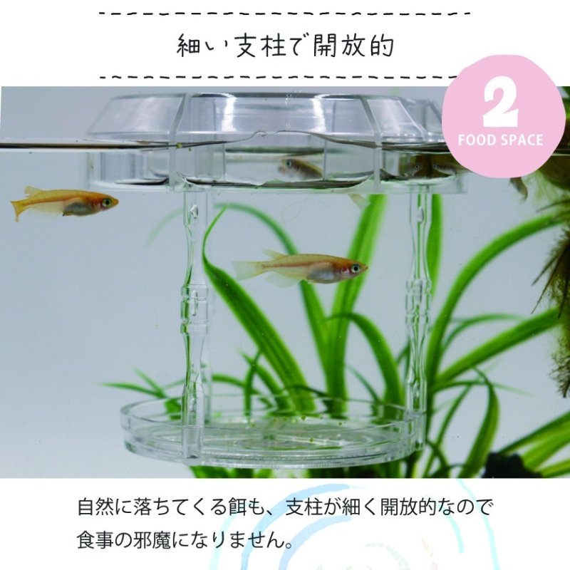 画像5: メダカ食堂 （クリア） (5)