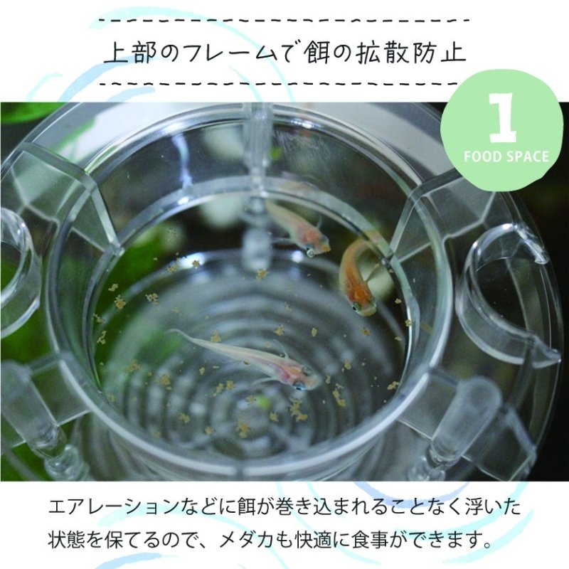 画像4: メダカ食堂 （クリア） (4)