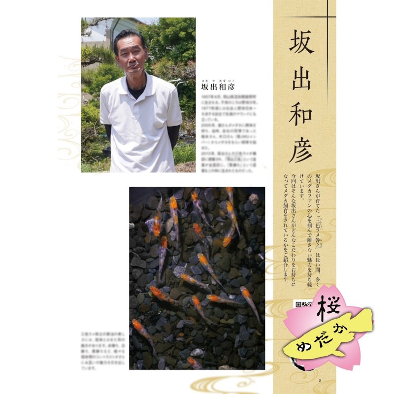 画像5: メダカFriend vol.1 創刊号 (5)