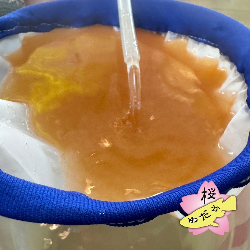 画像3: ブラインシュリンプ 分離ネット (3)