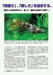 画像2: メダカ百華 Vol.20 (2)