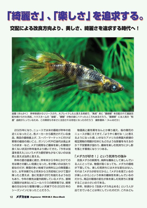 画像2: メダカ百華 Vol.20 (2)
