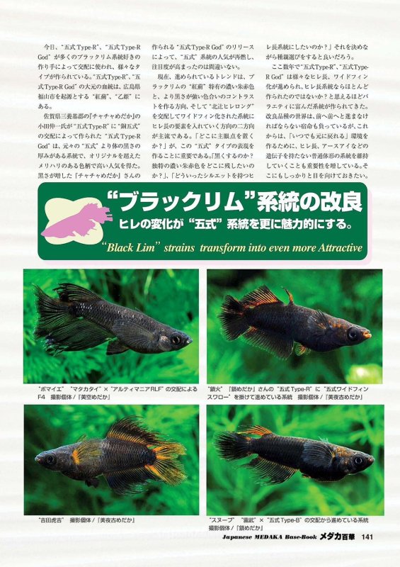 画像9: メダカ百華 Vol.20 (9)