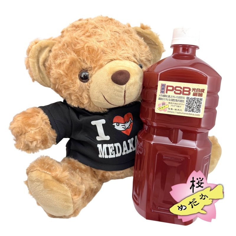画像4: I LOVE MEDAKA ベア (4)