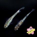 画像5: レックウザ 1ペア Ｍサイズ (5)