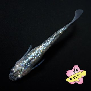 めだかshop 大阪市旭区】清水4丁目にメダカ専門店「めだか宝夢」がオープン
