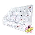 画像1: メダカ 販売・展示用 アクリルスタンドセット (1)