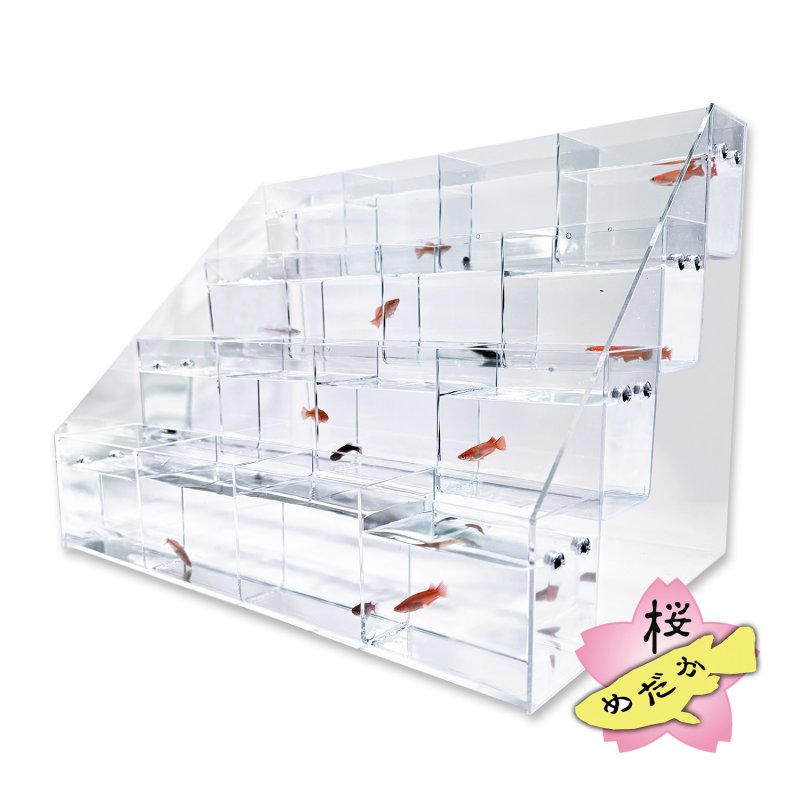 画像1: メダカ 販売・展示用 アクリルスタンドセット (1)