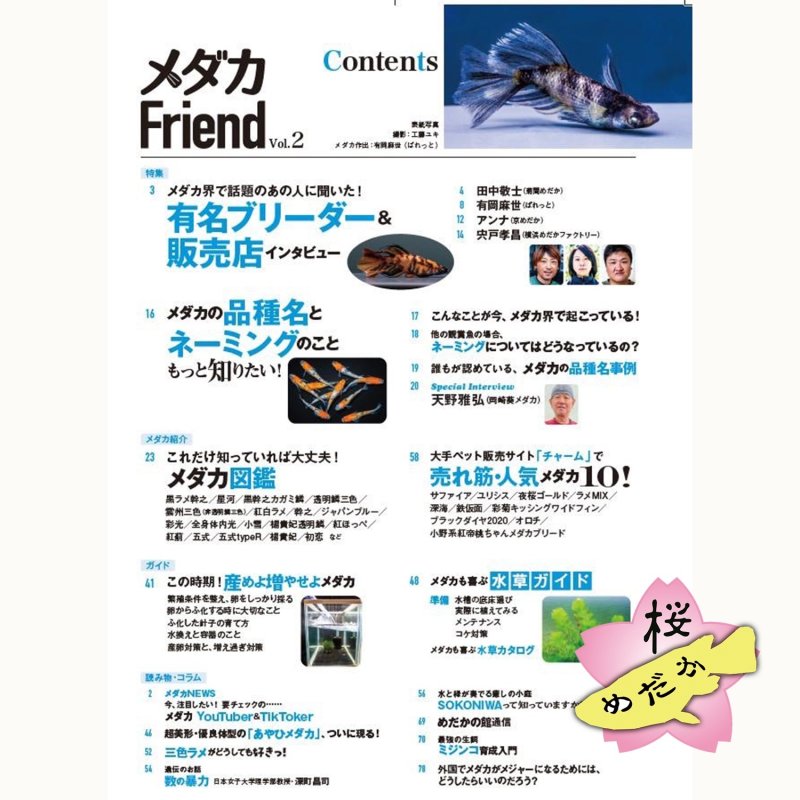 画像2: メダカFriend vol.2 (2)