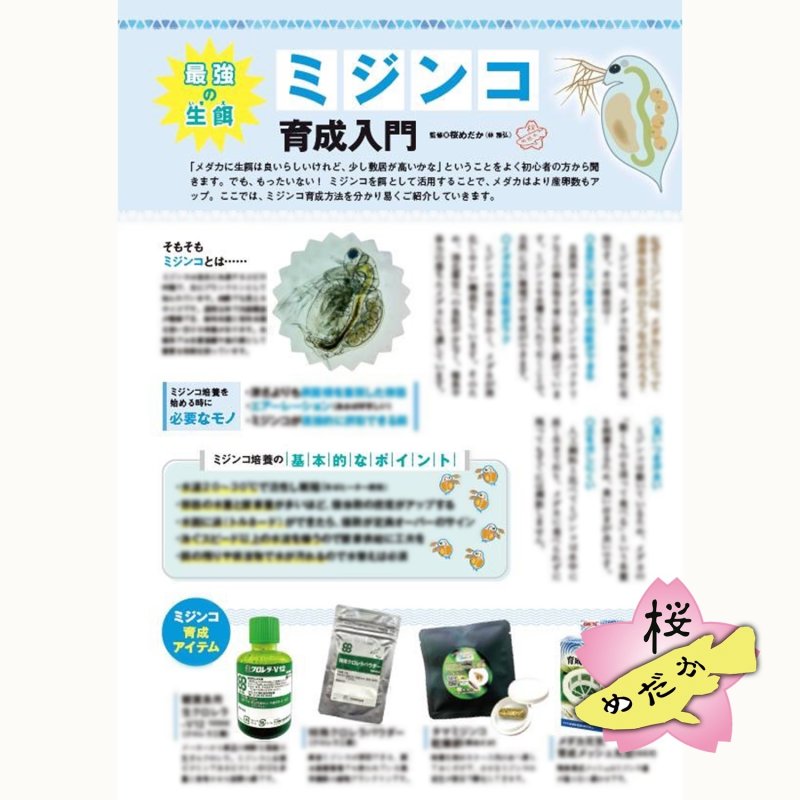 画像7: メダカFriend vol.2 (7)