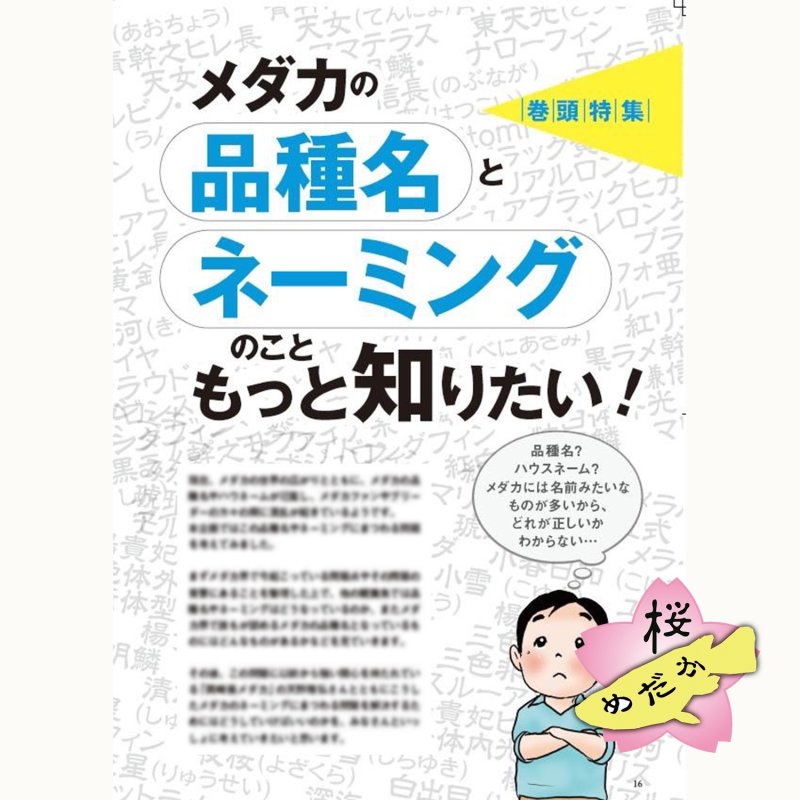 画像5: メダカFriend vol.2 (5)