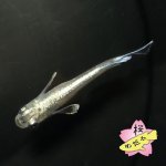 画像4: エメキン 2ペア Mサイズ (4)