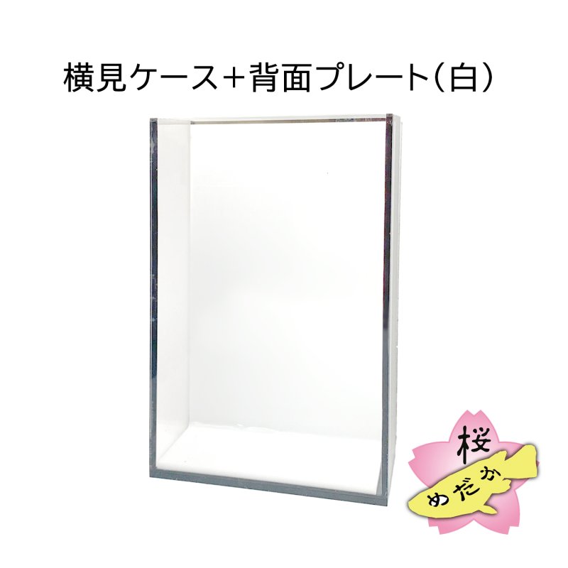 画像9: メダカ用・スマホ撮影ケース（単品・プレートセット） (9)