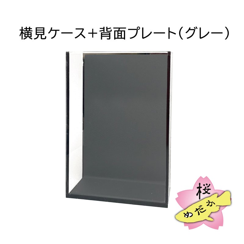 画像8: メダカ用・スマホ撮影ケース（単品・プレートセット） (8)