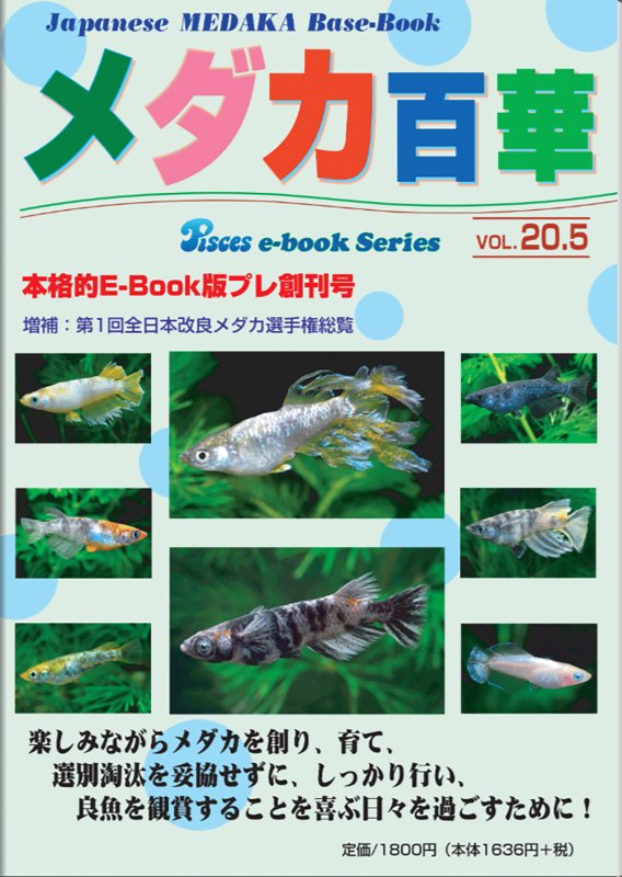 画像1: メダカ百華 Vol.20.5（e-bookダウンロード版） (1)