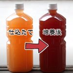 画像2: 桜めだか培養 PSB 1L×15本セット (2)