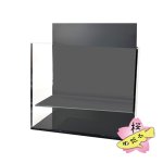 画像7: メダカ用・横見ケース Mサイズ（単品・プレートセット） (7)