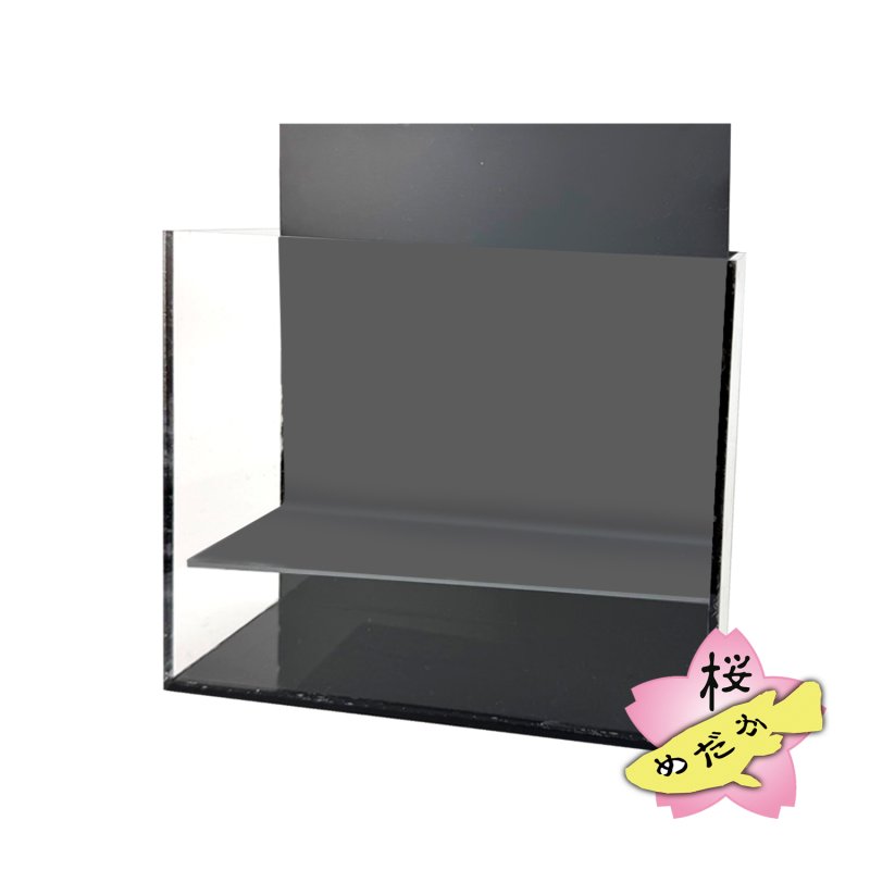 画像7: メダカ用・横見ケース Mサイズ（単品・プレートセット） (7)
