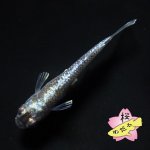 画像9: ミッドナイトフリル 体外光 1ペア Mサイズ (9)