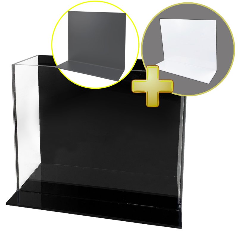 画像2: メダカ用・横見ケース Mサイズ（単品・プレートセット） (2)