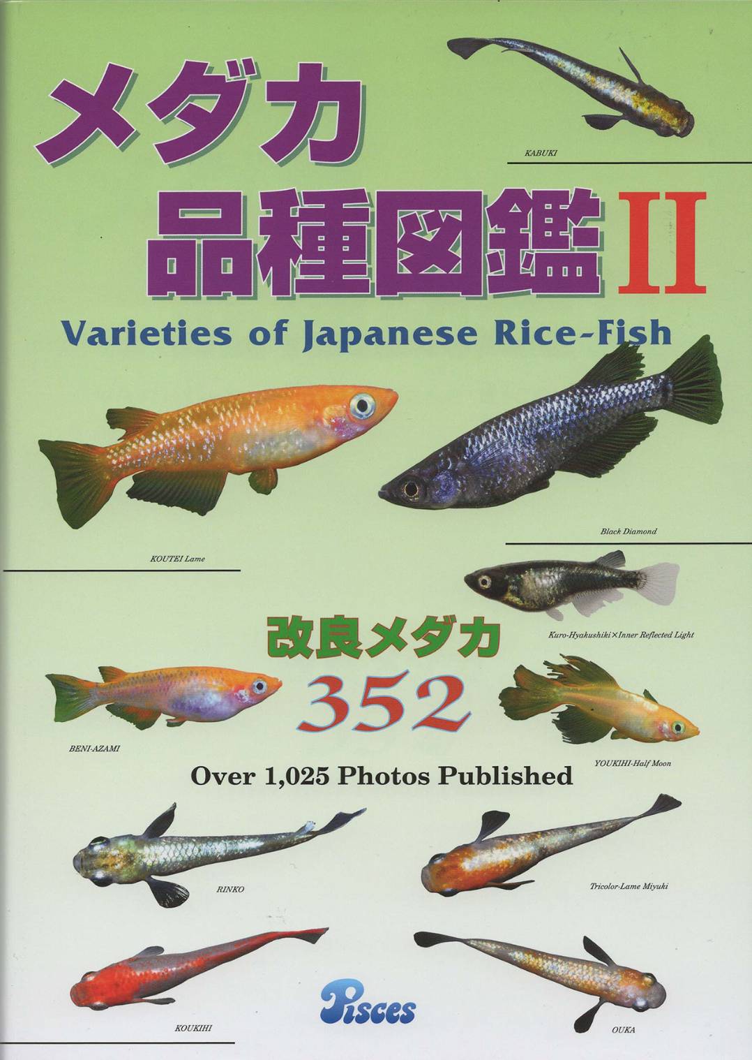 メダカ品種図鑑Ⅱ 改良メダカ352★楊貴妃　琥珀　幹之　ラメ　透明鱗　ダルマ　ブラック　目高　Japanese Rice-Fish　ピーシーズ
