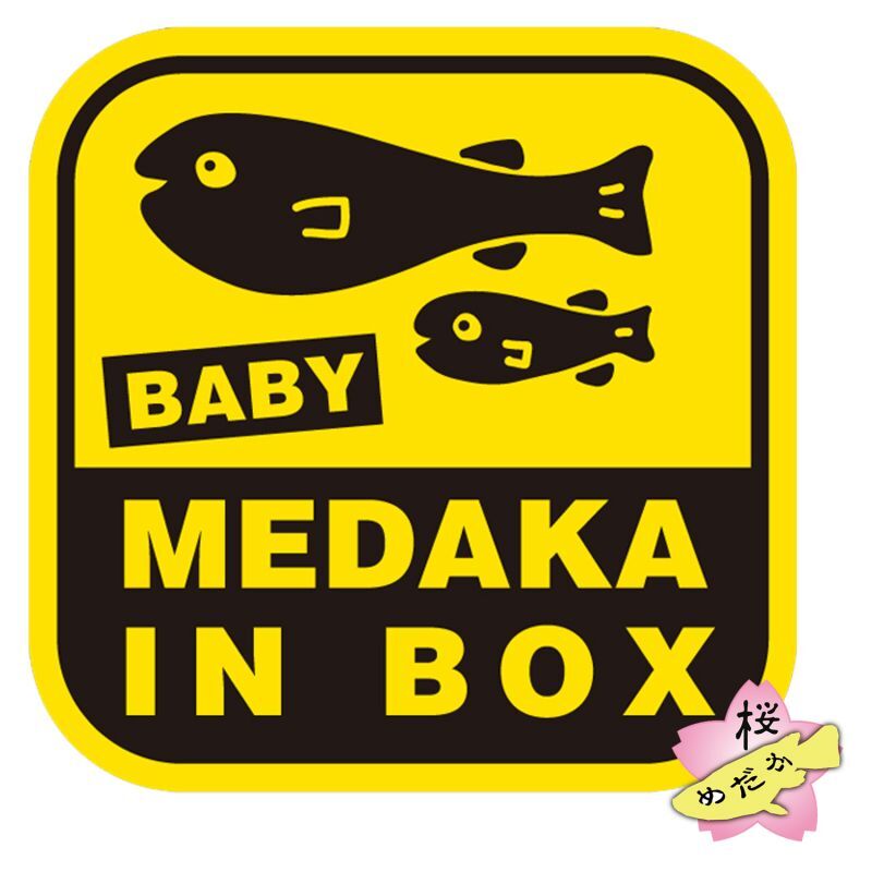 画像1: ステッカー 〜 BABY MEDAKA IN BOX 〜 (1)