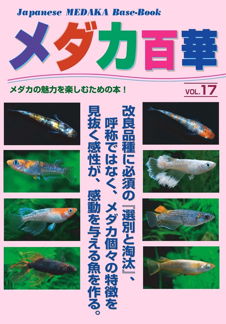 メダカ百華 Vol.17