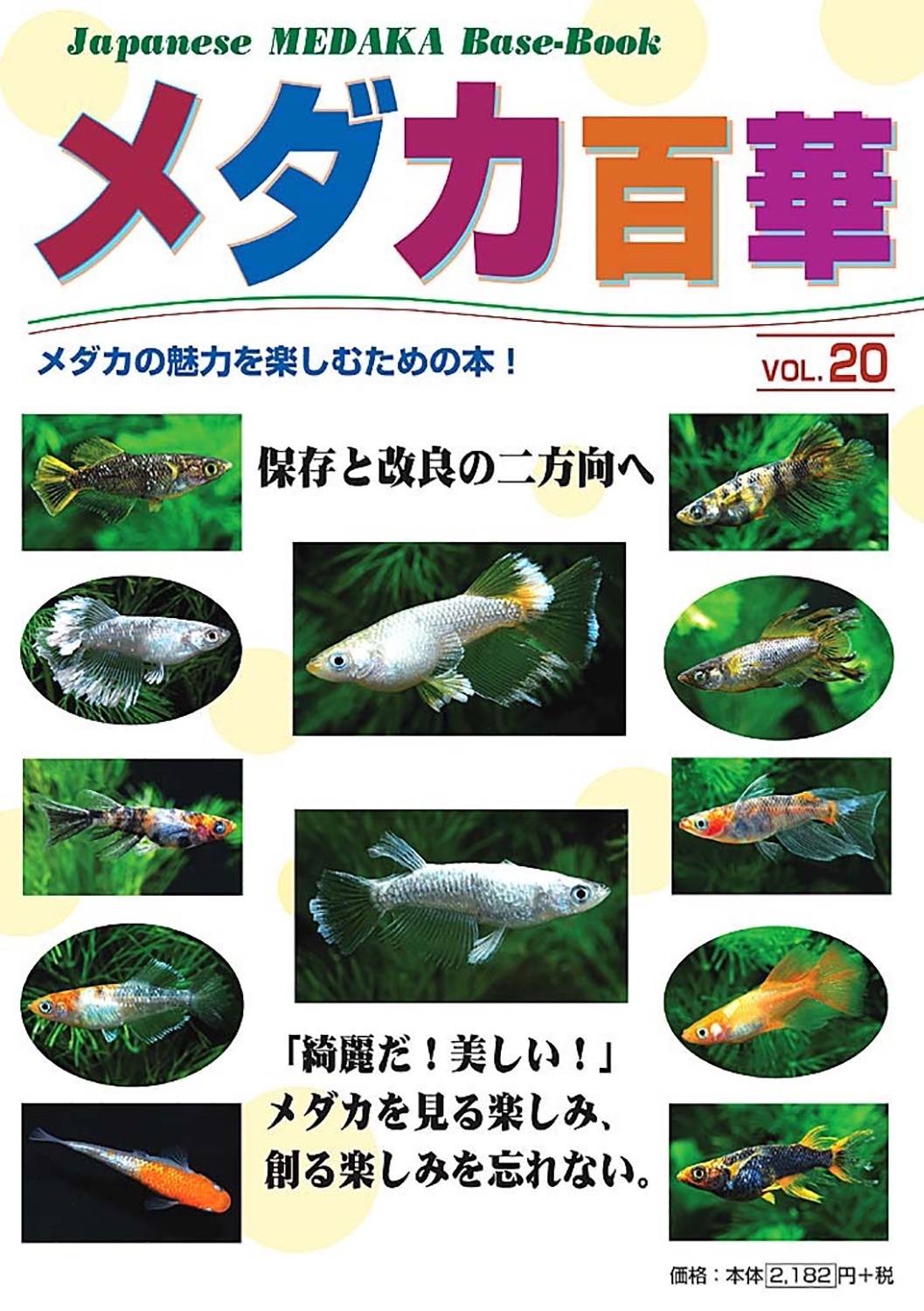 【新刊】メダカ百華 Vol.20
